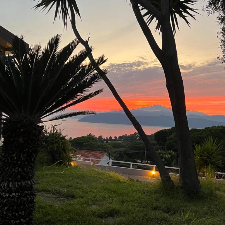 Villa Messina - Villa con Piscina Privata - 5