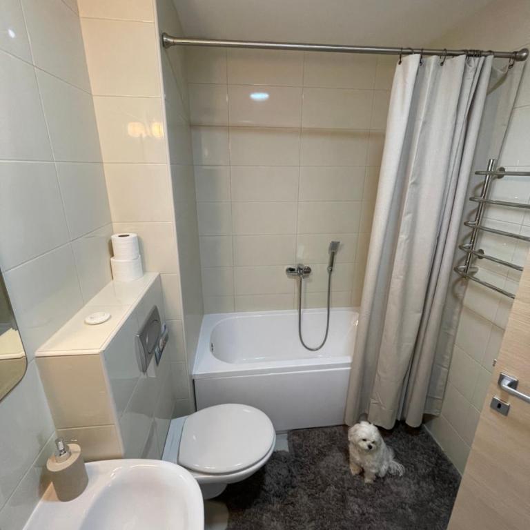 Listik Apartments - One-Bedroom Apartment - 5