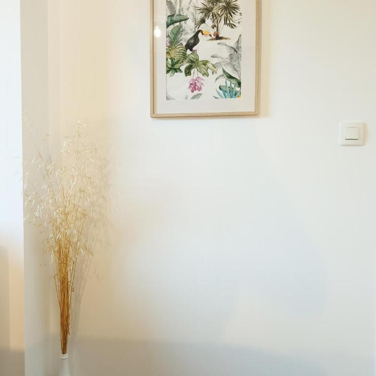 Chambre privée dans appartement partagé avec balcon calme & dégagé - Camera Matrimoniale - 13