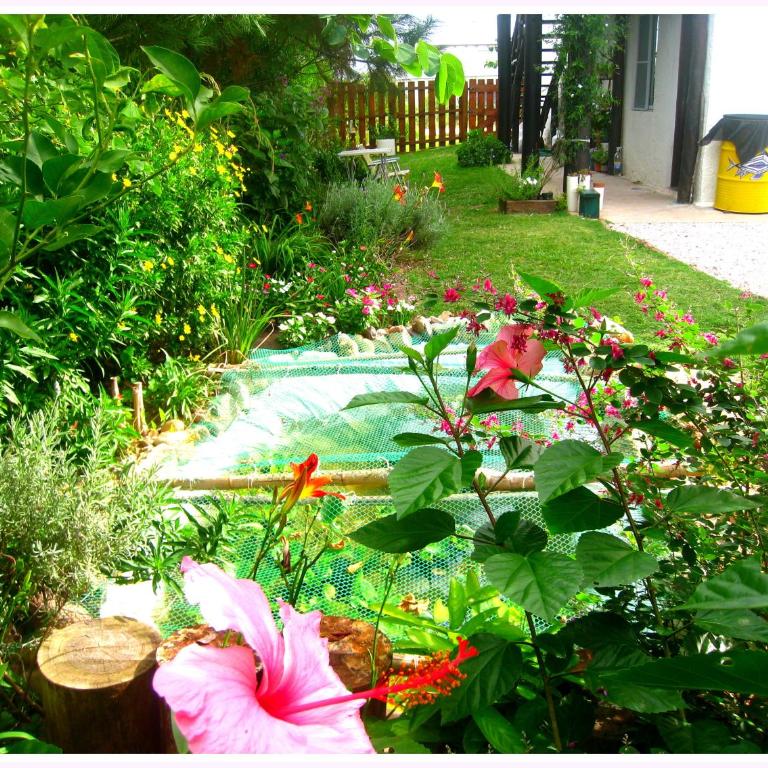 Gin Kovas - Apartamento - Planta baja - 5