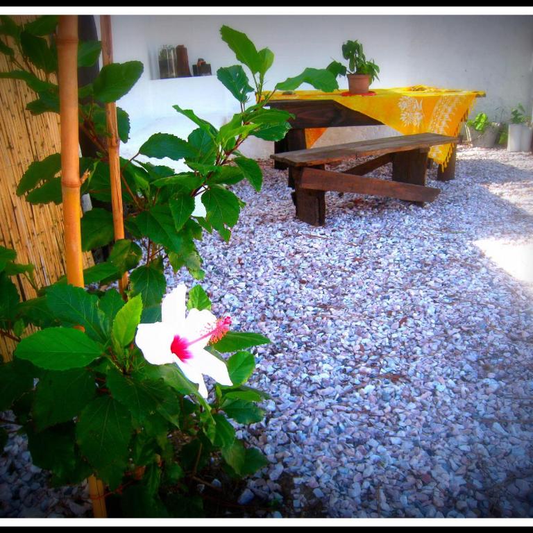 Gin Kovas - Apartamento - Planta baja - 4