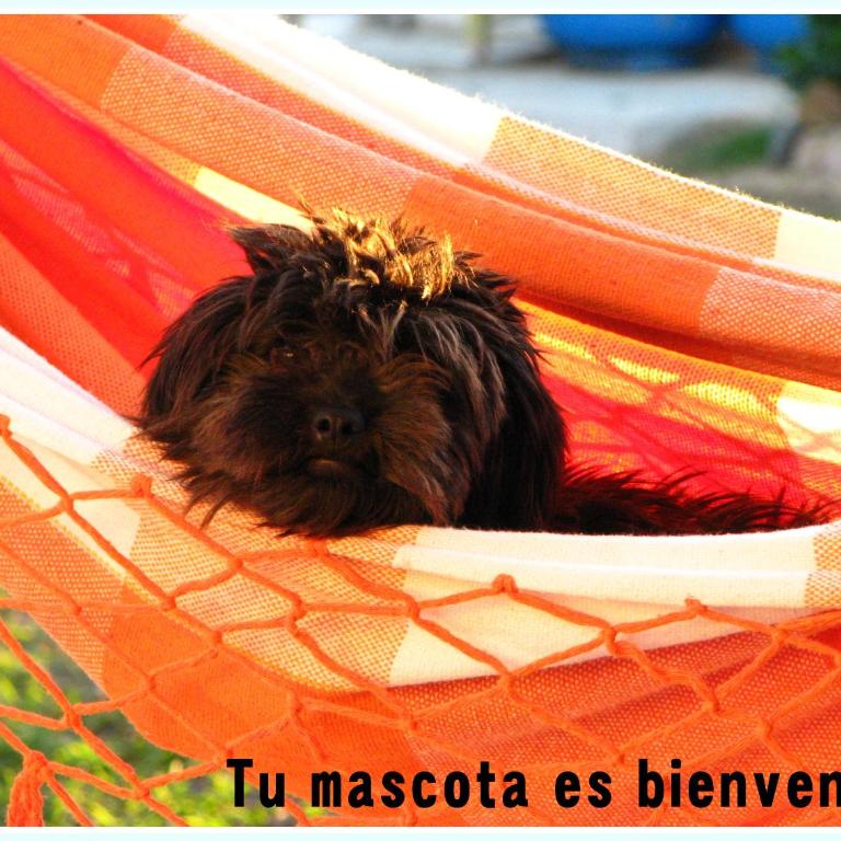 Gin Kovas - Apartamento - Planta baja - 3
