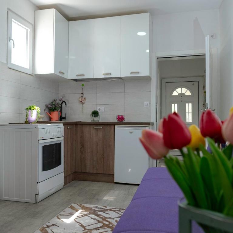 Vila Apartmani Astoria - One-Bedroom Apartment - 26
