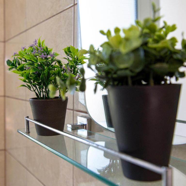 Vila Apartmani Astoria - Two-Bedroom Apartment - 63