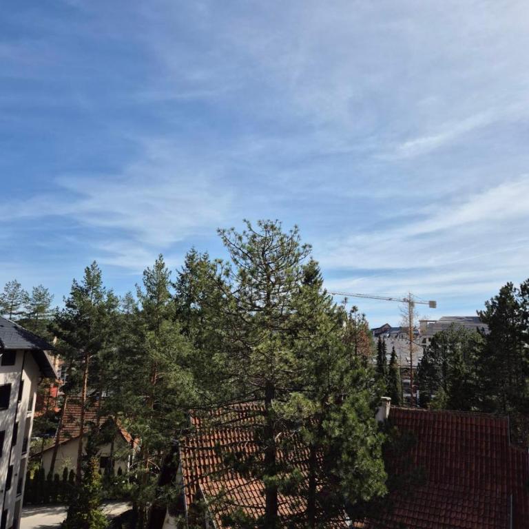 Zlatibor Central Apartment - Apartman sa 1 Spavaćom Sobom - 27