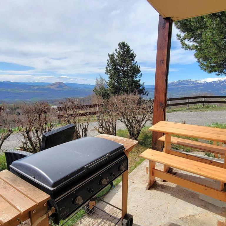 Appartement cosy 5 pers, terrasse sud, parking, proche station, animaux acceptés - Appartement 1 Chambre - 12
