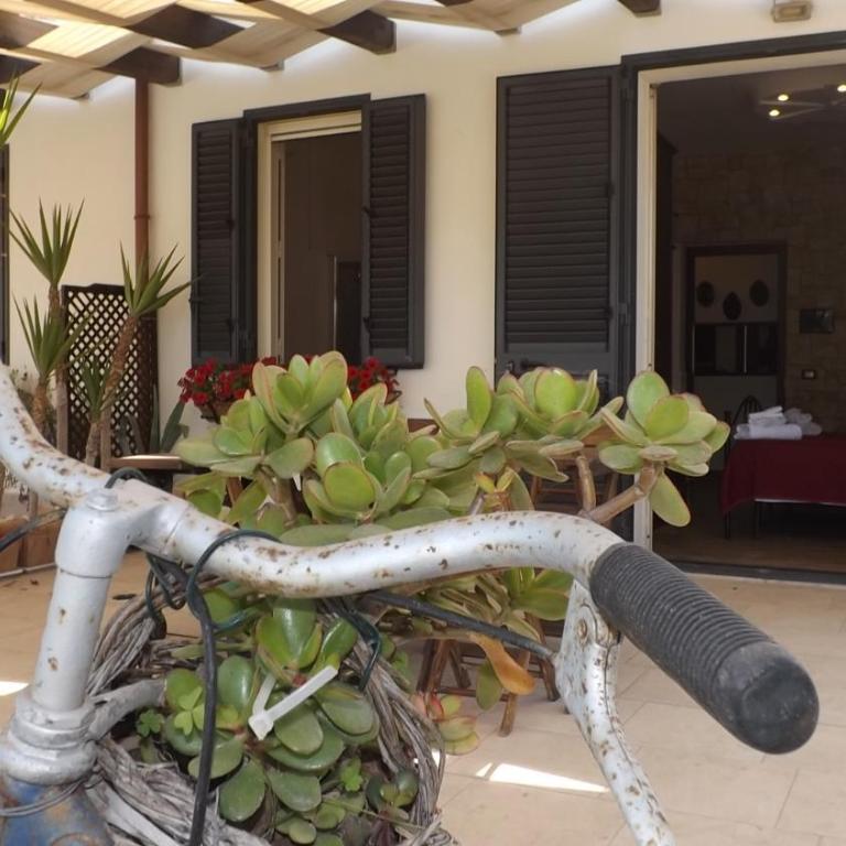 BeB Nonno Baffo - Monolocale Familiare - 12