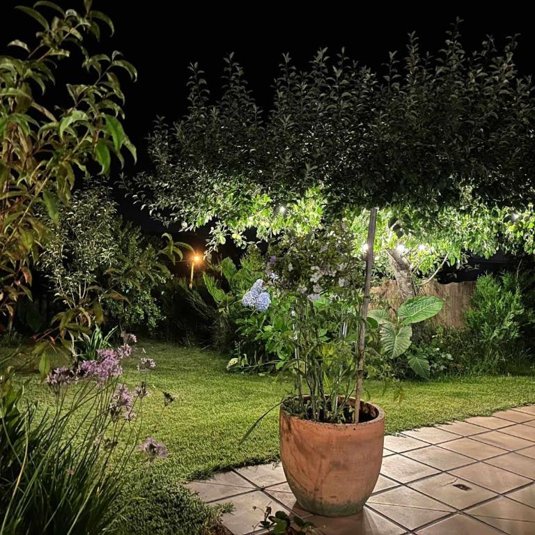 Casa Rural Pontevedra con piscinajardínbarbacoa - Four-Bedroom House - 29