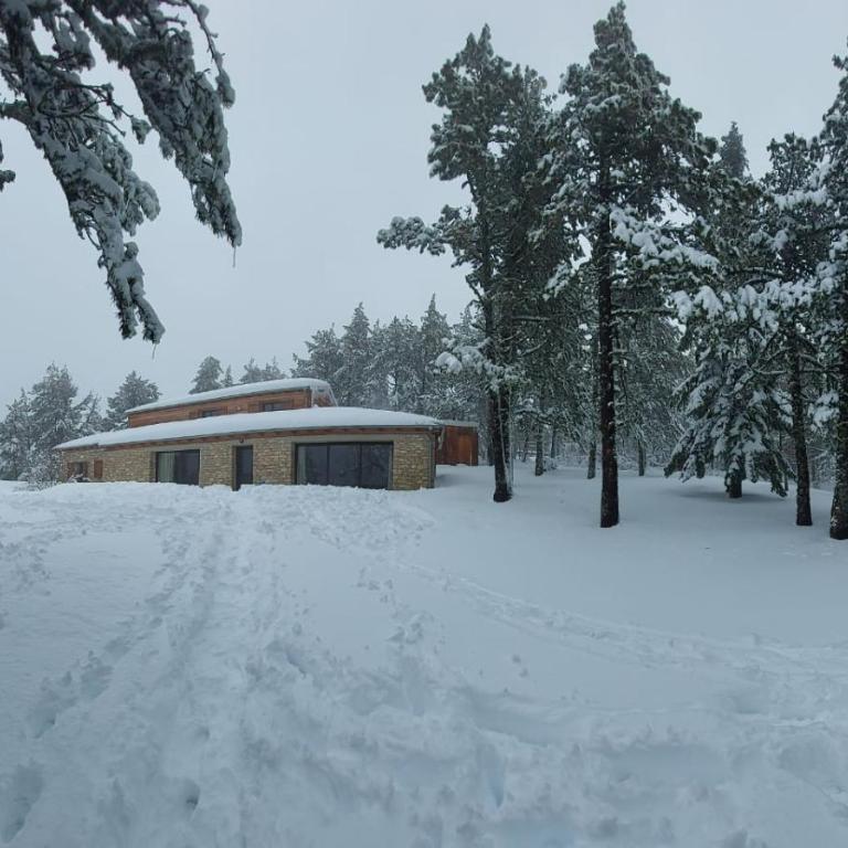 La Bergerie - Chalet contemporain au Mont Ventoux - Chalet - 21