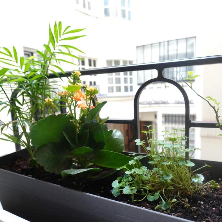 Cosy Flat in Le Marais - Appartement 1 Chambre - 10