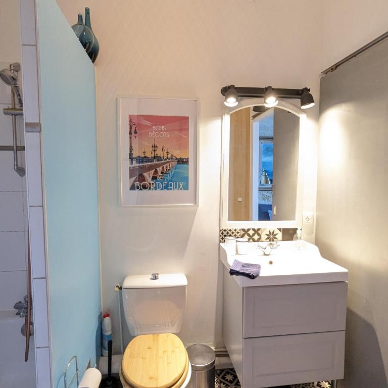 Appartement de charme sous les toits avec vue sur la Garonne - One-Bedroom Apartment - 15