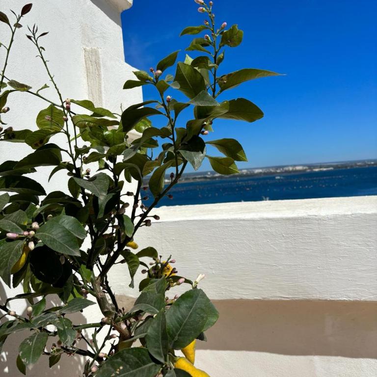 Il Palazzino - Seaview Apartments - Deluxe Suite with Sea View - 17
