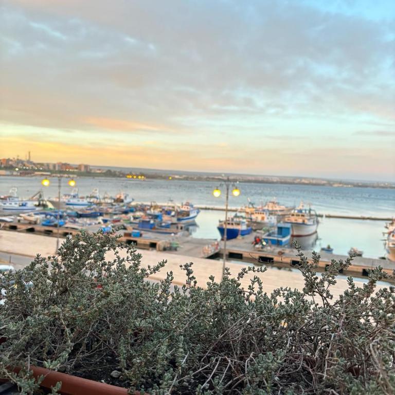 Il Palazzino - Seaview Apartments - Studio with Sea View - 1