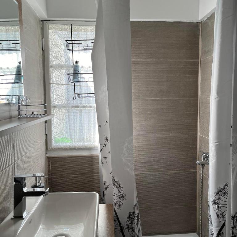 Villa Lenka Sokobanja - Kuća sa 1 Spavaćom Sobom - 14