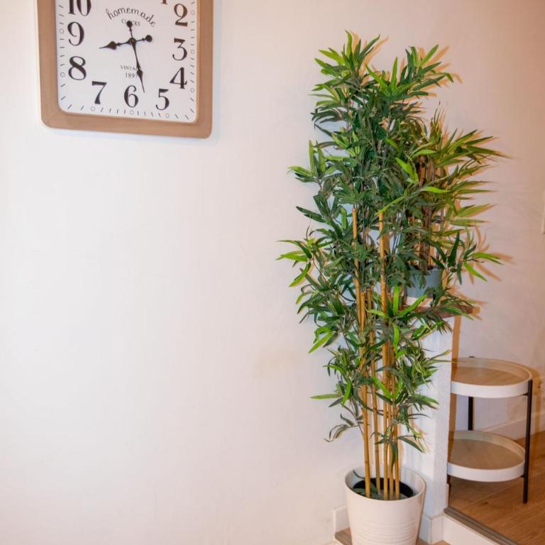 Loft - centre historique - Appartement 1 Chambre - 51