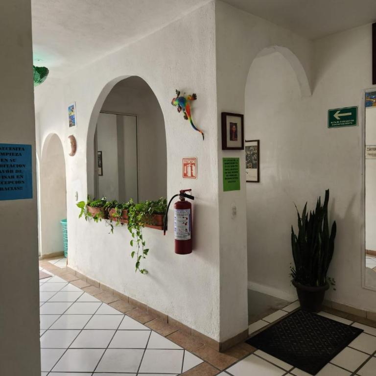 Alexandross - Mixed Dormitory Room - 4