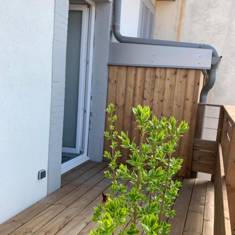 Place Des Vosges - Appartement avec Balcon - 12