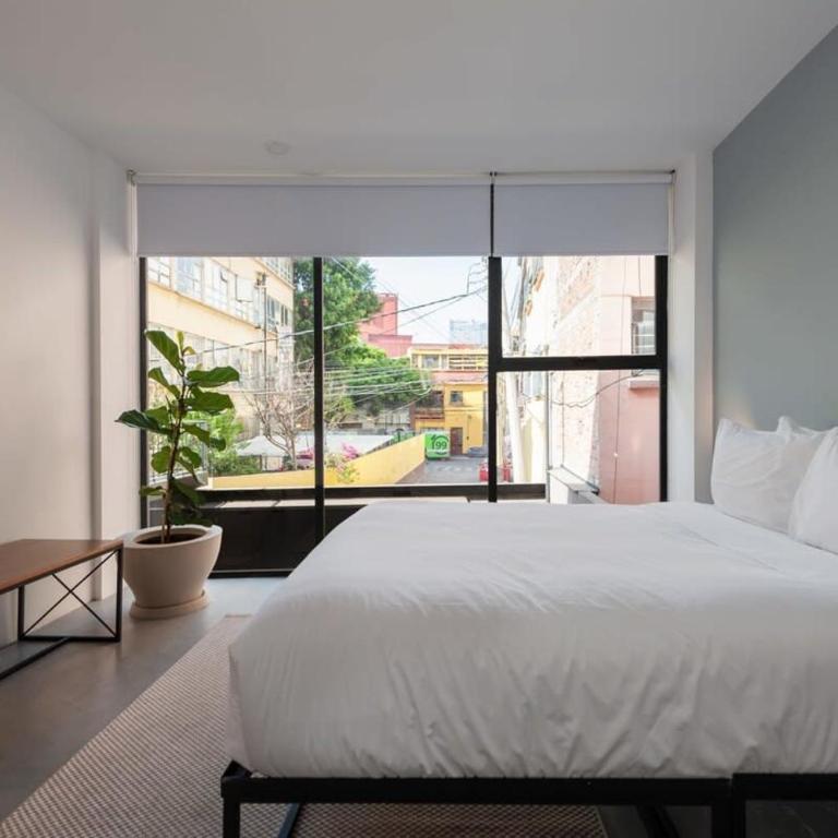 Homey 2BR in Roma Norte - Relaxing 2BR in Roma Norte - 8