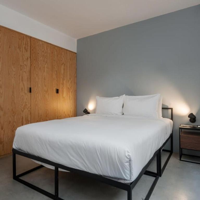 Homey 2BR in Roma Norte - Relaxing 2BR in Roma Norte - 10