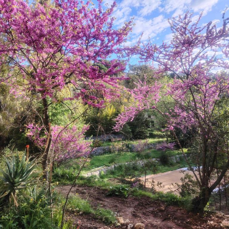 Domaine des Petites Sœurs à 800m du centre historique avec 5200m2 de parc arboré - Appartement 1 Chambre - 15