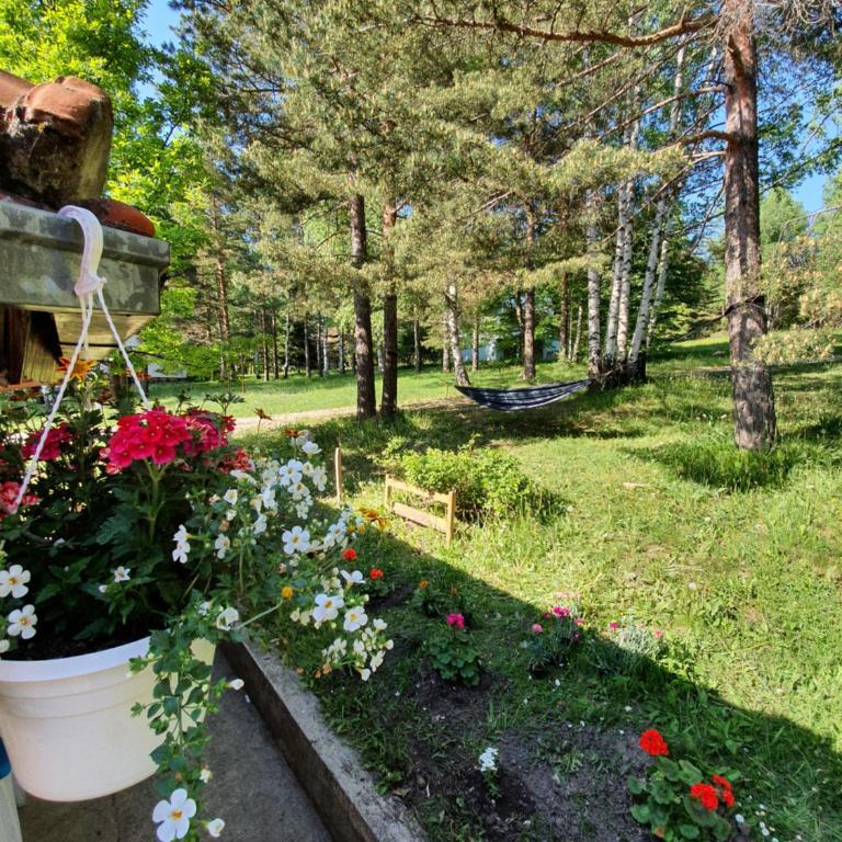 Bungalov Zahej Divčibare - Brvnara sa 1 Spavaćom Sobom - 21
