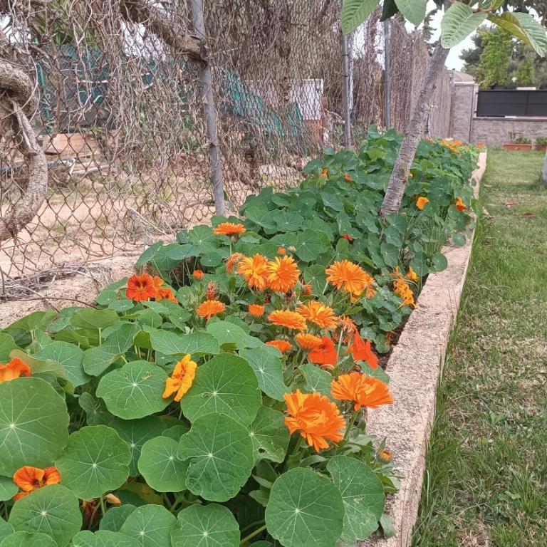 Escapada de ciudad al aire libre con jardín privado, tranquilo y romántico - Apartamento de 1 dormitorio - 30