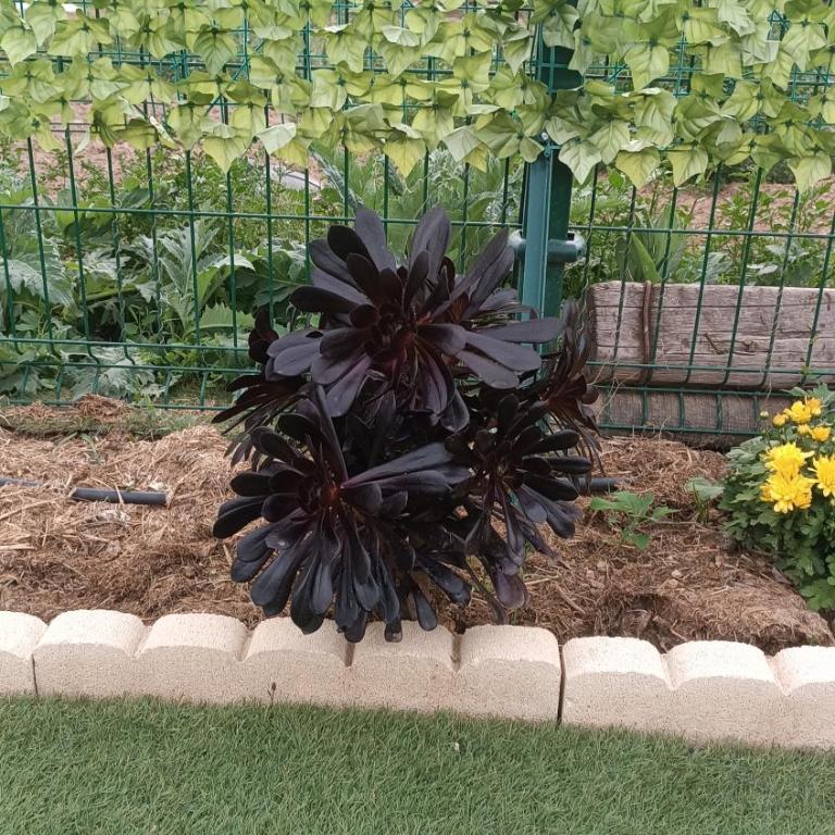 Escapada de ciudad al aire libre con jardín privado, tranquilo y romántico - Apartamento de 1 dormitorio - 31