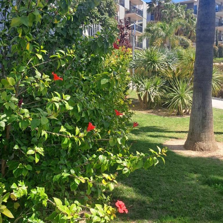 Port Aventura 5 min à pied - Superbe appartement - Apartamento de 2 dormitorios - 36