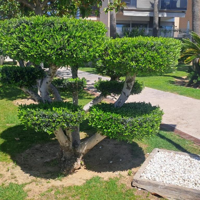 Port Aventura 5 min à pied - Superbe appartement - Apartamento de 2 dormitorios - 38
