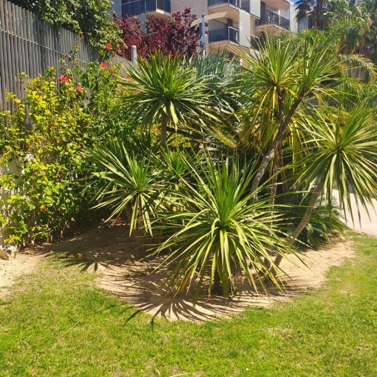 Port Aventura 5 min à pied - Superbe appartement - Apartamento de 2 dormitorios - 39