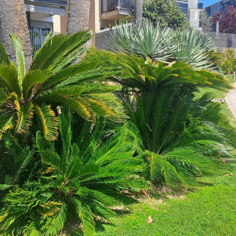 Port Aventura 5 min à pied - Superbe appartement - Apartamento de 2 dormitorios - 41