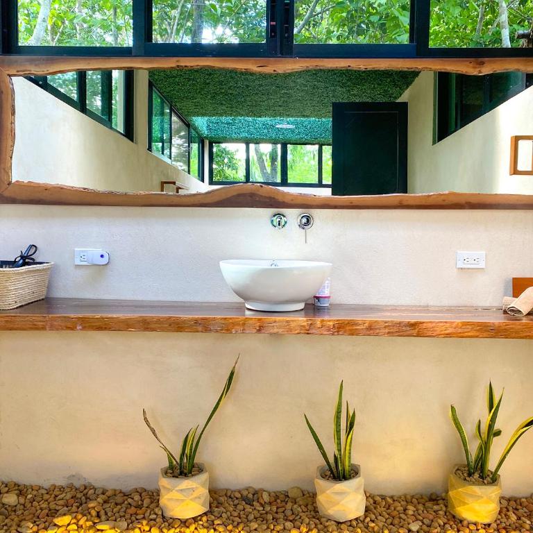 Villas Zamna - Jungle Villas - Villa Estándar - 11