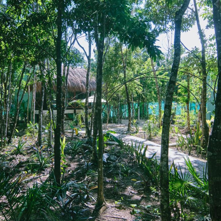 Villas Zamna - Jungle Villas - Villa Superior - 15