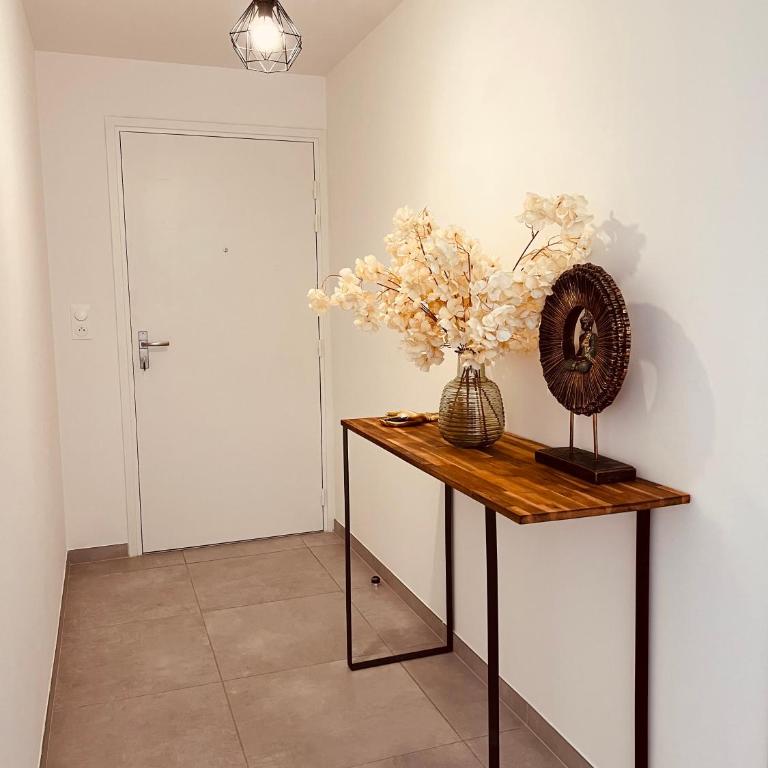 Toit-terrasse avec vue magnifique sur Montpellier - Apartment mit 3 Schlafzimmern - 21