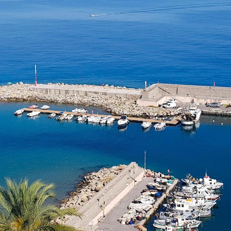 Superbe Appartement À Bordighera - Appartement - 14