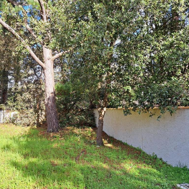 Charmante Maison 3 Chambres - 6 Personnes - Proche Plage - FR-1-323-252 - Casa Vacanze - 12