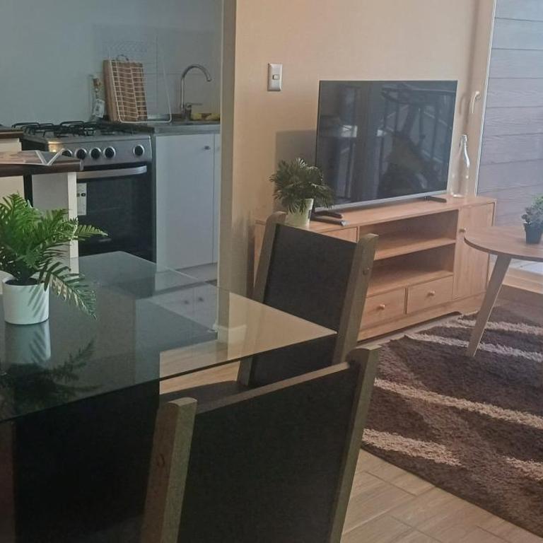 Departamento arriendo diario - One-Bedroom Apartment - 3