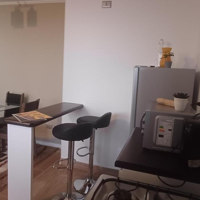 Departamento arriendo diario - One-Bedroom Apartment - 14