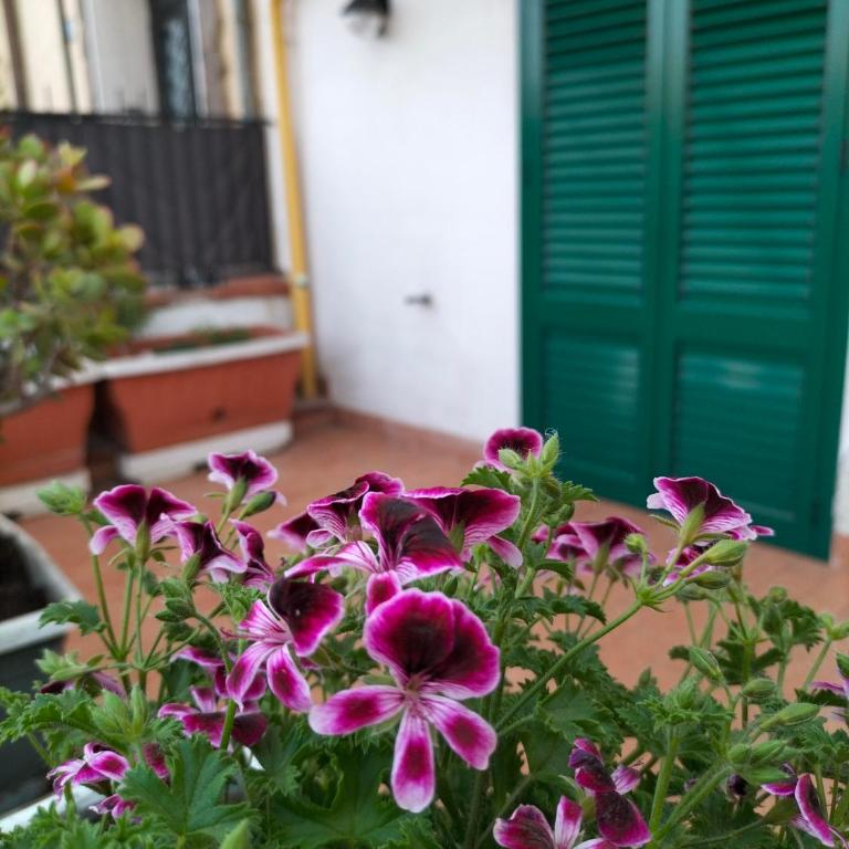 Ciuridda mia - Appartamento con 1 Camera da Letto - 17