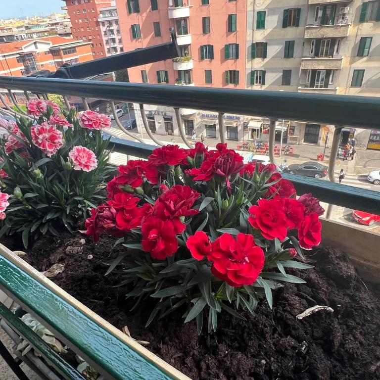 Valentina House - Appartamento con 3 Camere da Letto - 14