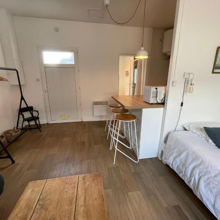 Grand Studio centre ville, gare et plage à pied - Apartamento de 1 dormitorio - 15