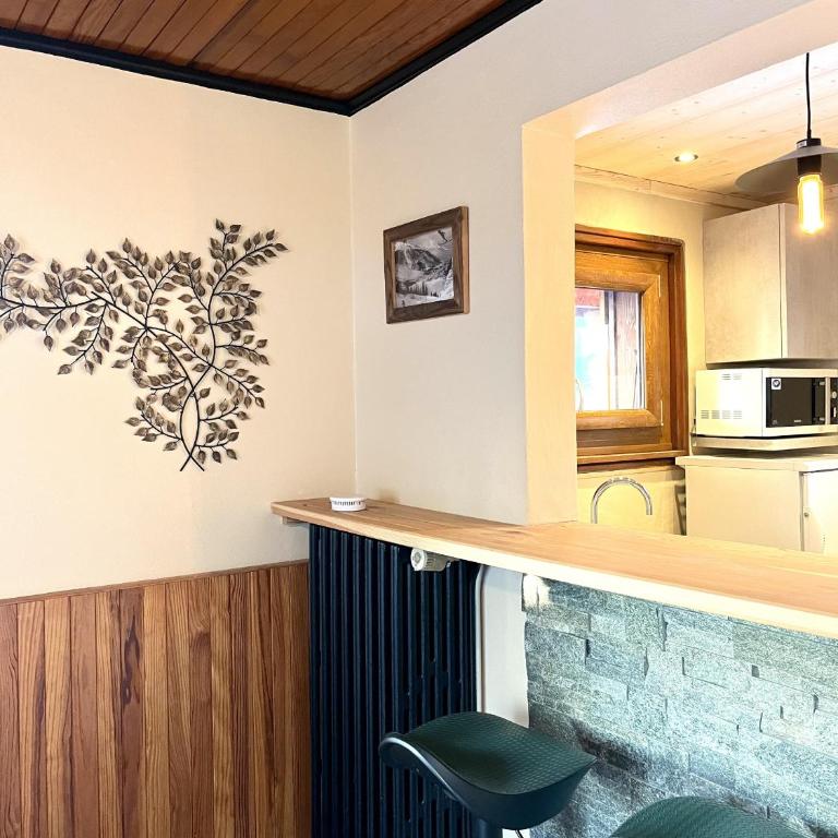 Le Chaney - T2 dans chalet - Massif du Mont-Blanc - Appartement 1 Chambre - 19