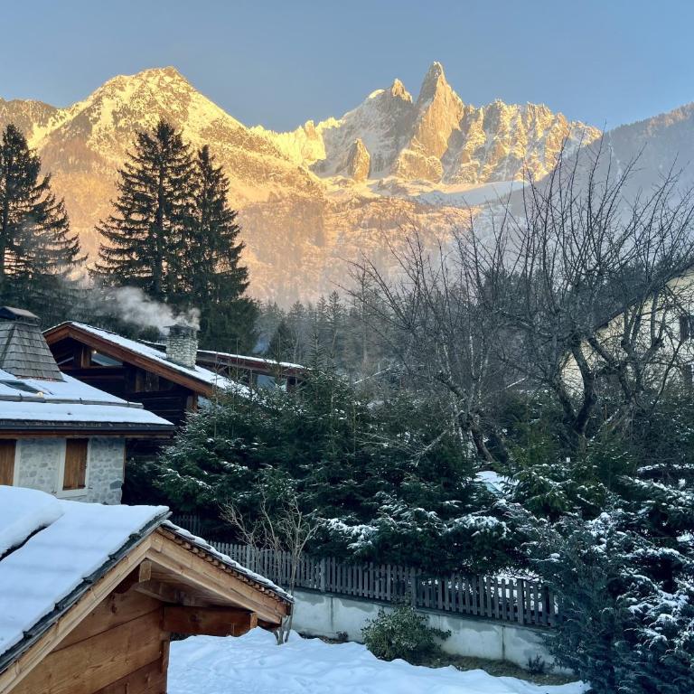 Le Chaney - T2 dans chalet - Massif du Mont-Blanc - Appartement 1 Chambre - 1