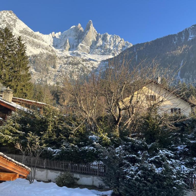 Le Chaney - T2 dans chalet - Massif du Mont-Blanc - Appartement 1 Chambre - 21