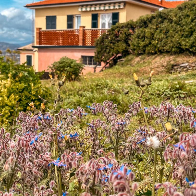 [5 TERRE]The Terrace on the Gulf - Parking / Wi-fi - Casa con 2 Camere da Letto - 43