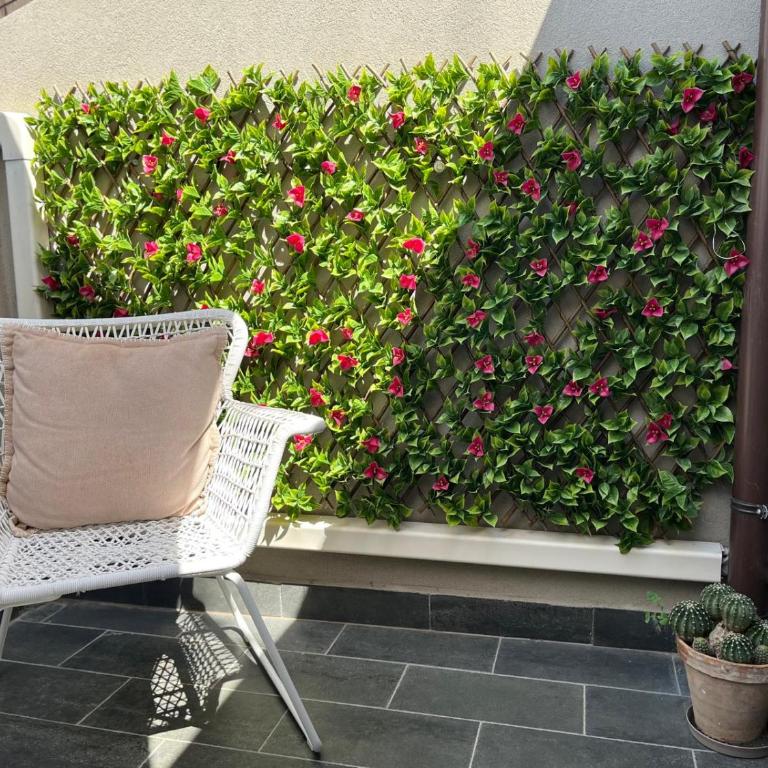 Cafiero House Catania Downtown by Sicily in Home - Appartamento con Terrazza - 5