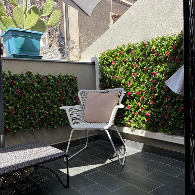 Cafiero House Catania Downtown by Sicily in Home - Appartamento con Terrazza - 26