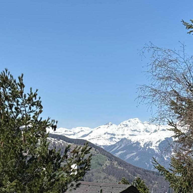 Chalet Claire - Superior Chalet - 3