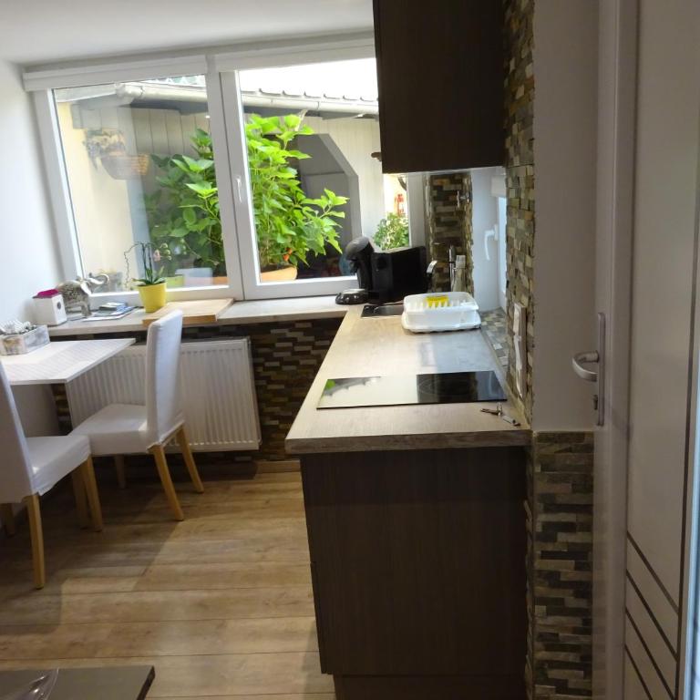 Appartement Ambiente - Apartamento de 1 dormitorio - 2