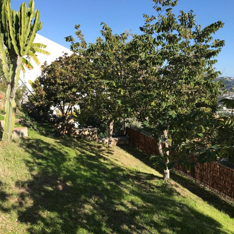 Casa Hortensia - Vacation Home - 35